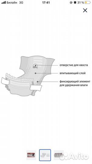Подгузники-трусики Camon для собак 12 шт, XL