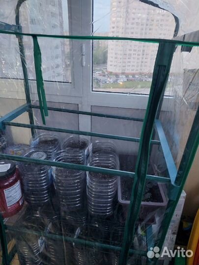 Домашняя мини теплица