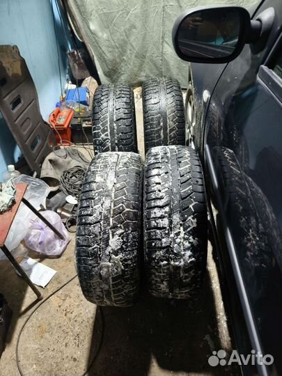 Cordiant Polar 2 205/55 R16