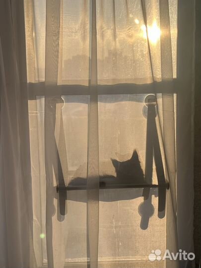 Гамак для кошек на окно