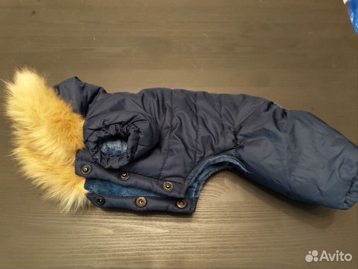 Одежда для средних собак