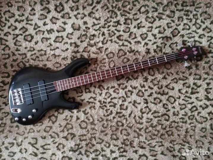 Ibanez edb deals 500