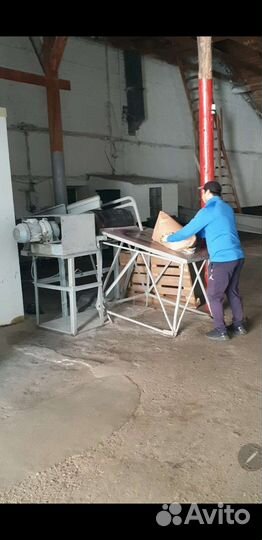 Семена кукурузы гибрид Краснодарский 291