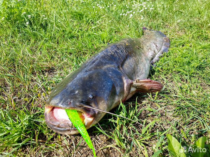 Слаги силиконовые 5