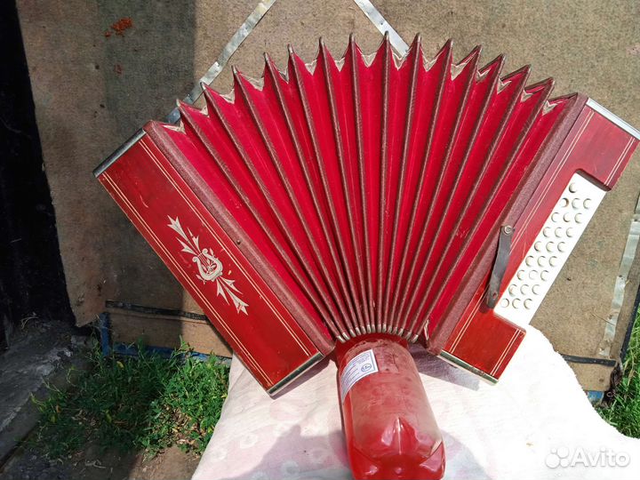 Гармони Шуя