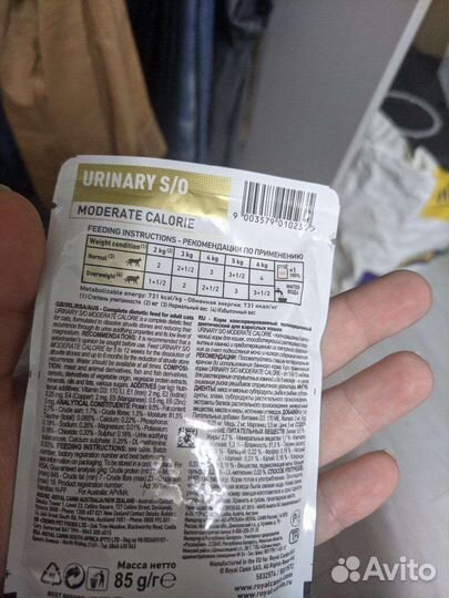 Влажный корм для кошек royal canin