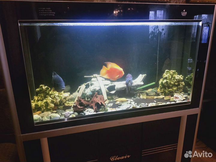 Аквариум Cleair Aquatics 700л