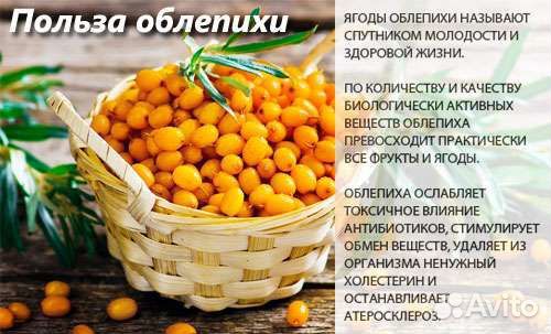 Продам облепиховый сироп