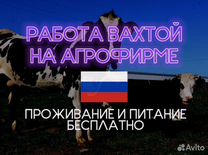 Разнорабочий Вахта в Казани без опыта