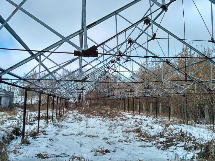 Участок 50 сот. (промназначения)