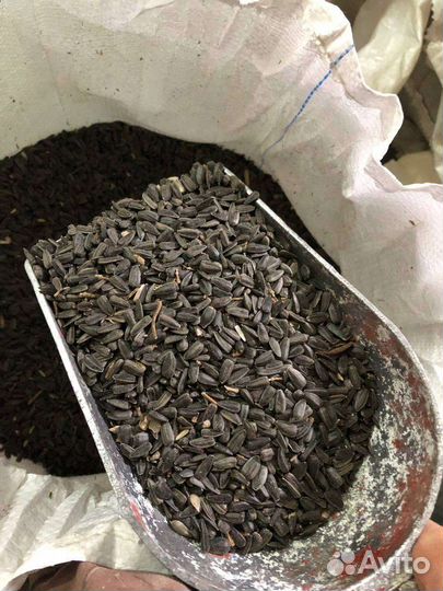 Семечки подсолнечника в мешках