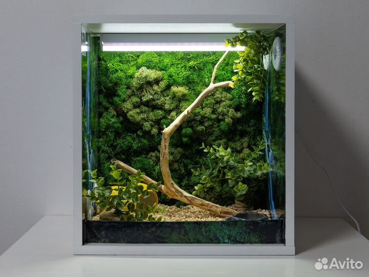 Террариум для рептилий (производство)