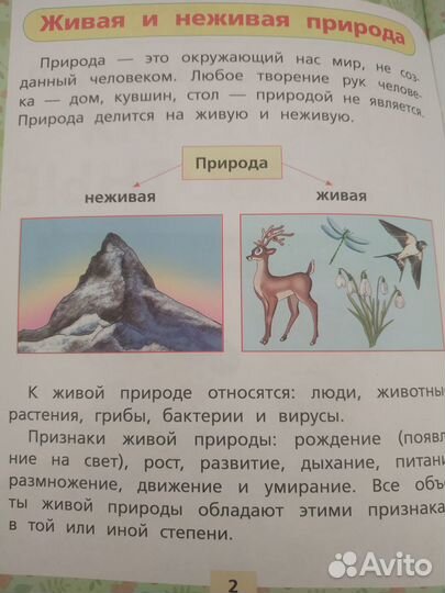 Окружающий мир растения и животные