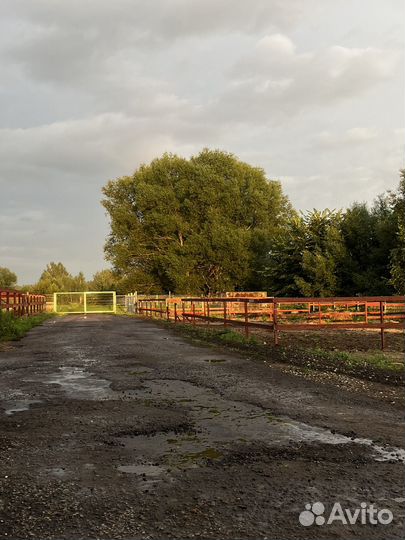 Постой для лошади