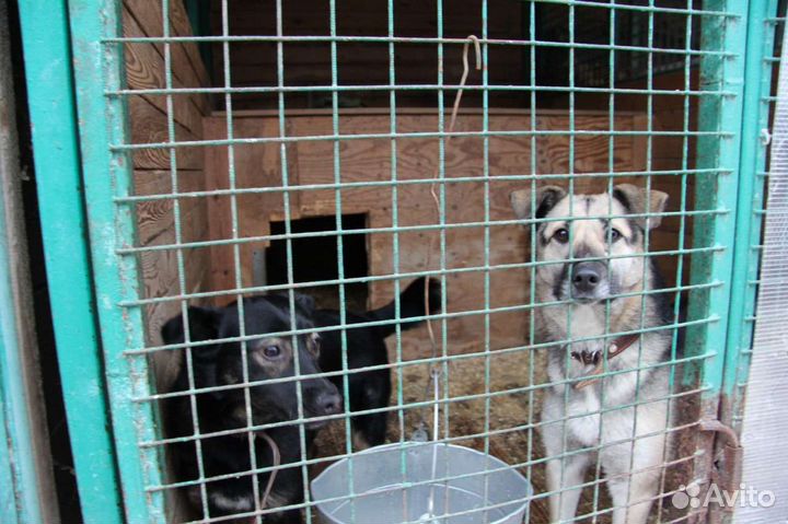 Выбери меня хоть раз, пожалуйста