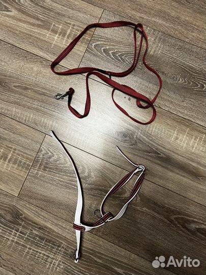 Ошейник для кошек