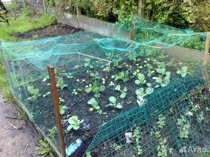 Сетка пластик от птиц для ландшафта, бассейна ш.2м