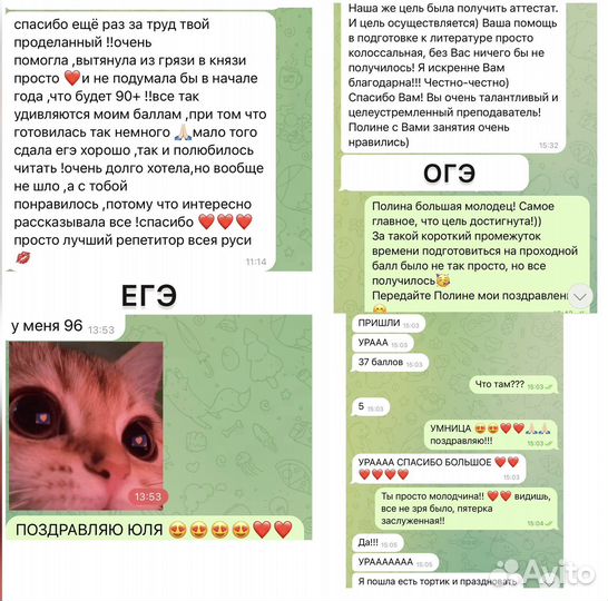 Репетитор по литературе егэ и огэ