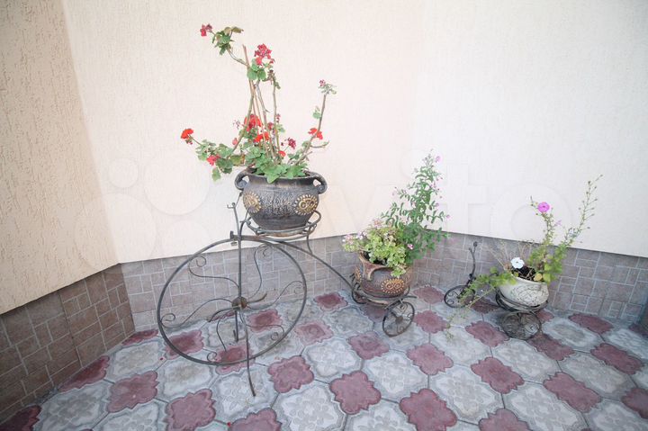 Комната 17 м², 1/2 эт.