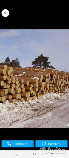 Лес кругляк пиловочник