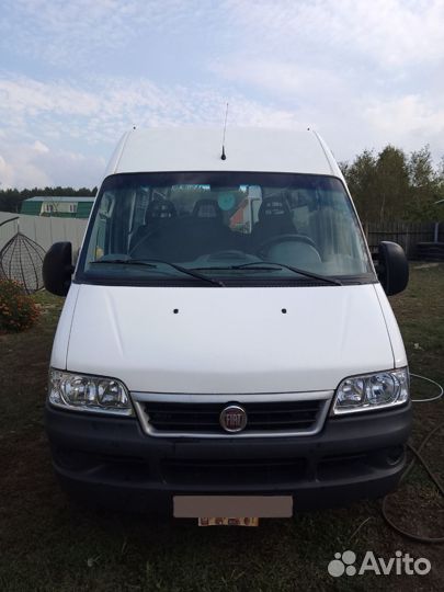 FIAT Ducato, 2010