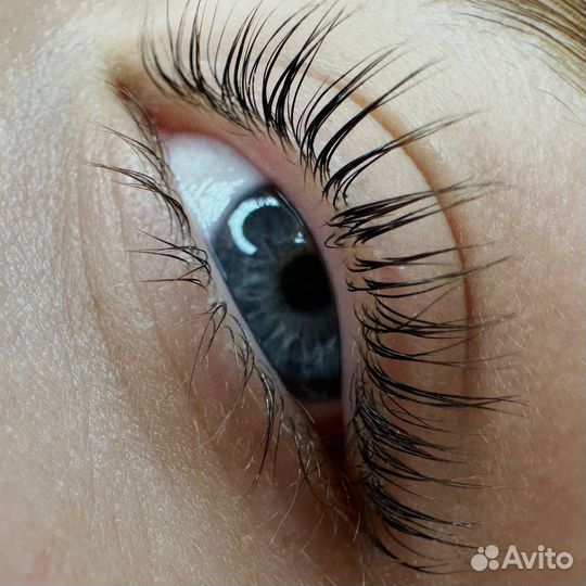 Обучение Мастер бровист и ламимейкер