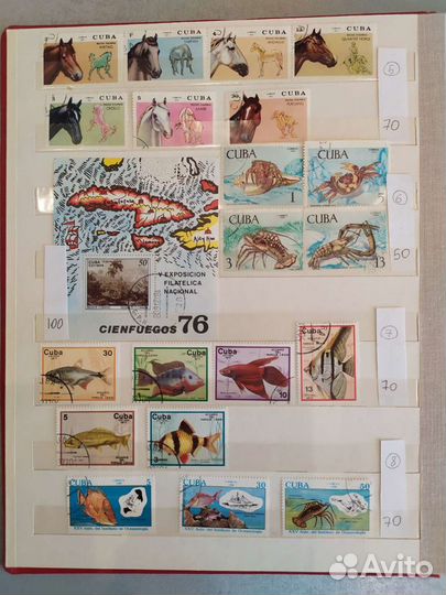 Почтовые марки Куба флора и фауна