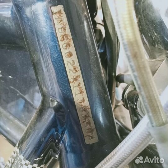 FXR