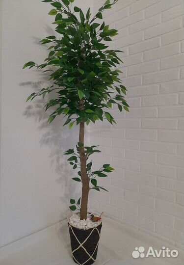 Искуственное растение декоративное дерево фикус