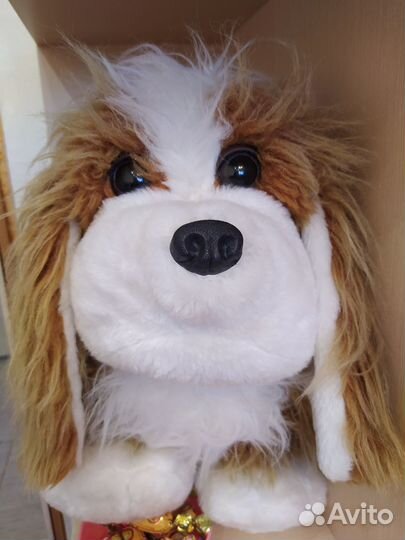 Игрушка собака барабака