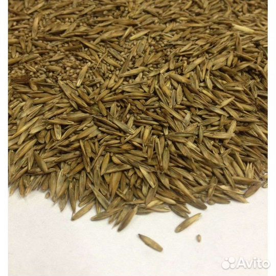 Семена газона/газонные травы/Газон Универсальный