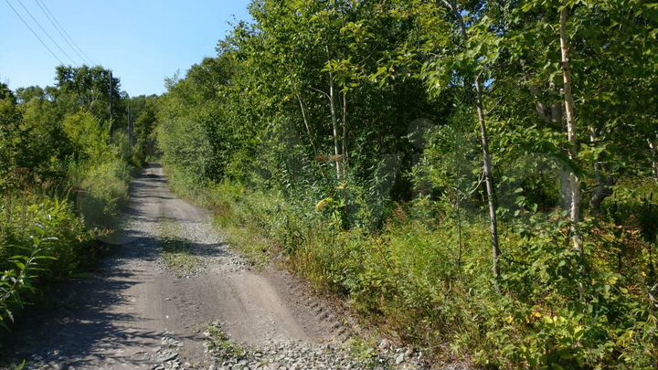 Участок 10 сот. (СНТ, ДНП)