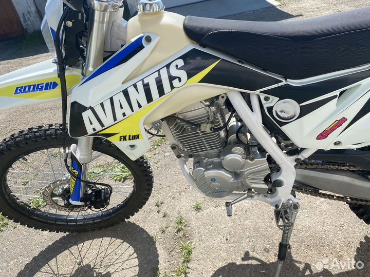Avantis Fx250 Lux