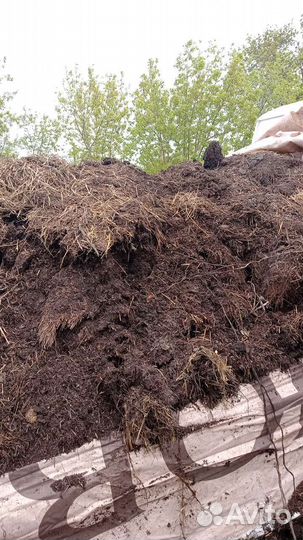 Конский навоз