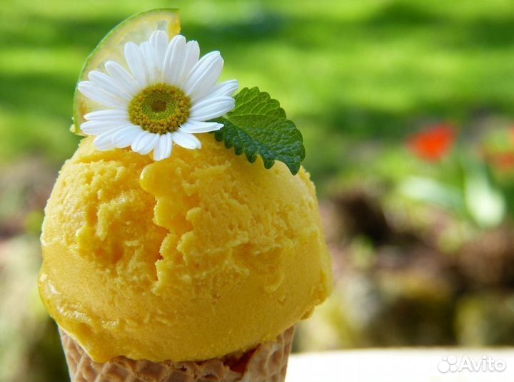 Франшиза с необычным и стильным продуктом