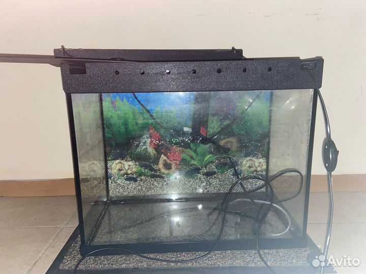 Аквариум 40 л. с фильтром и лампой