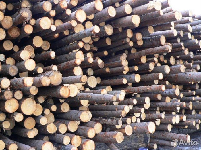 Лес кругляк