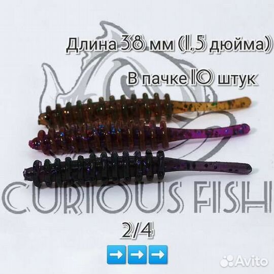 Curious Fish Aji Ringer 1,5 дюйма(3,8 см)