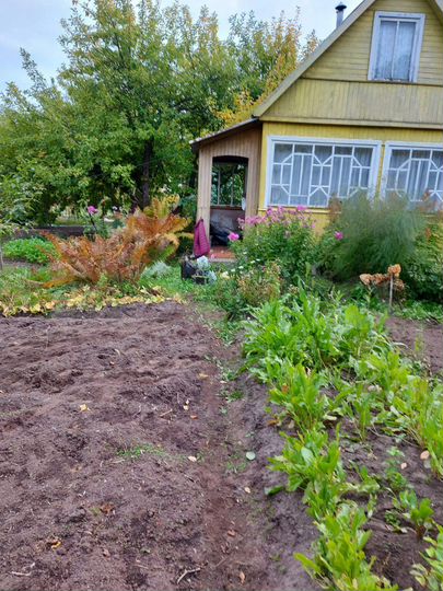 Дача 25 м² на участке 5 сот.