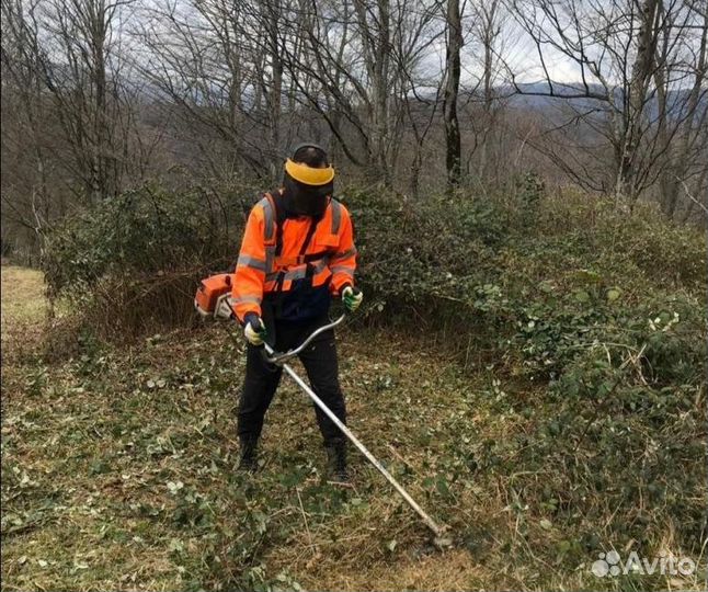 Расчистка участка, уборка территории