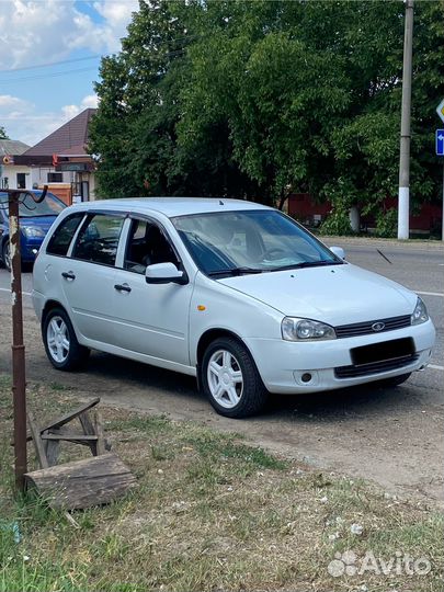 Торусы r15