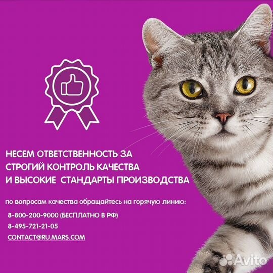 Whiskas влажный корм для кошек желе, с курицей