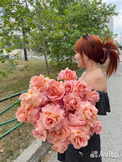 Купить розы, доставка роз, французские розы