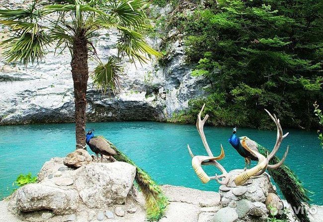 Тур в Абхазию