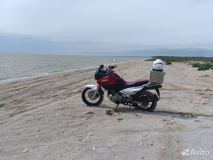 Suzuki XF 650 Freewind