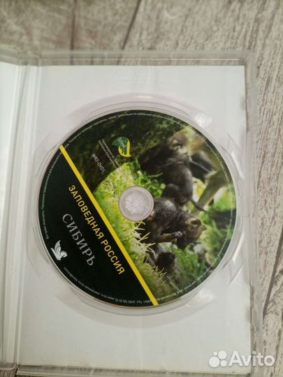 Диски видео заповедная природа россии
