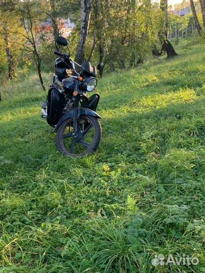 Alpha jaguar new lux 11