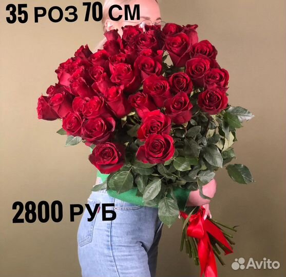 Розы 25 шт, 51 шт, 101 шт, доставка