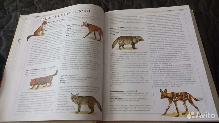 Новейшая энциклопедия животных