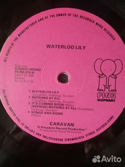 Caravan Waterloo Lily 1972 pink Elifant редкость